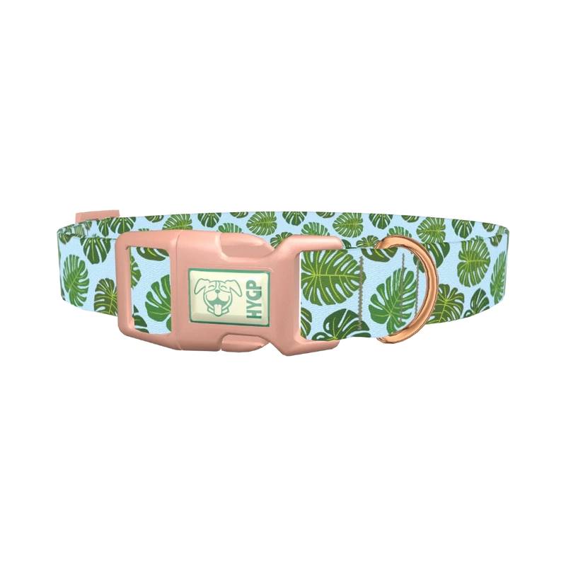 Blue Monstera Leaf Dog Collar - plastic rose gold