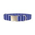 Blue Stripe Dog Collar - metal silver