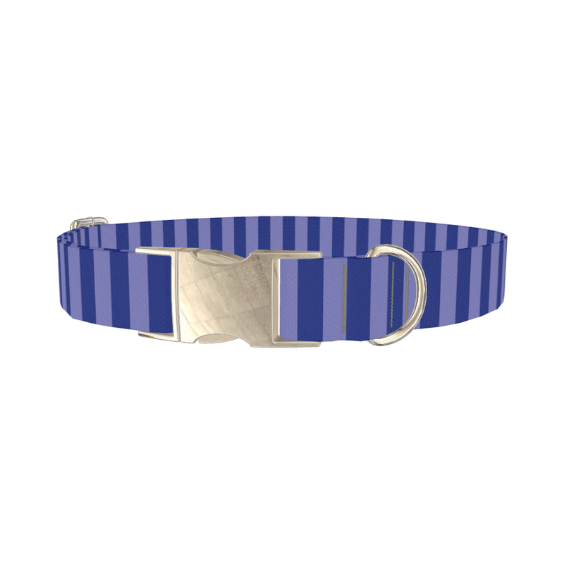 Blue Stripe Dog Collar - metal silver