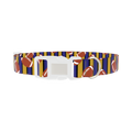 Striped Football 8870462849239 Dog Collar - plastic silver