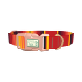 Mexican Red Stripe Dog Collar - plastic rose gold