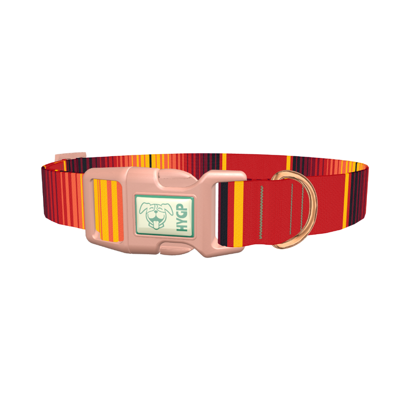 Mexican Red Stripe Dog Collar - plastic rose gold