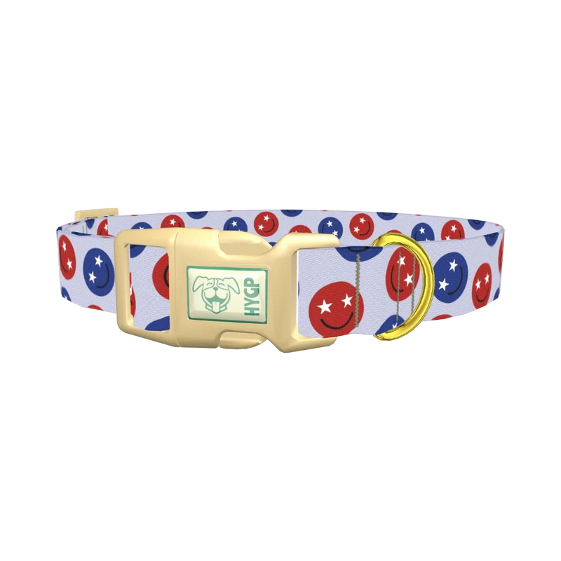 Patriotic Smiley Dog Collar - plastic gold