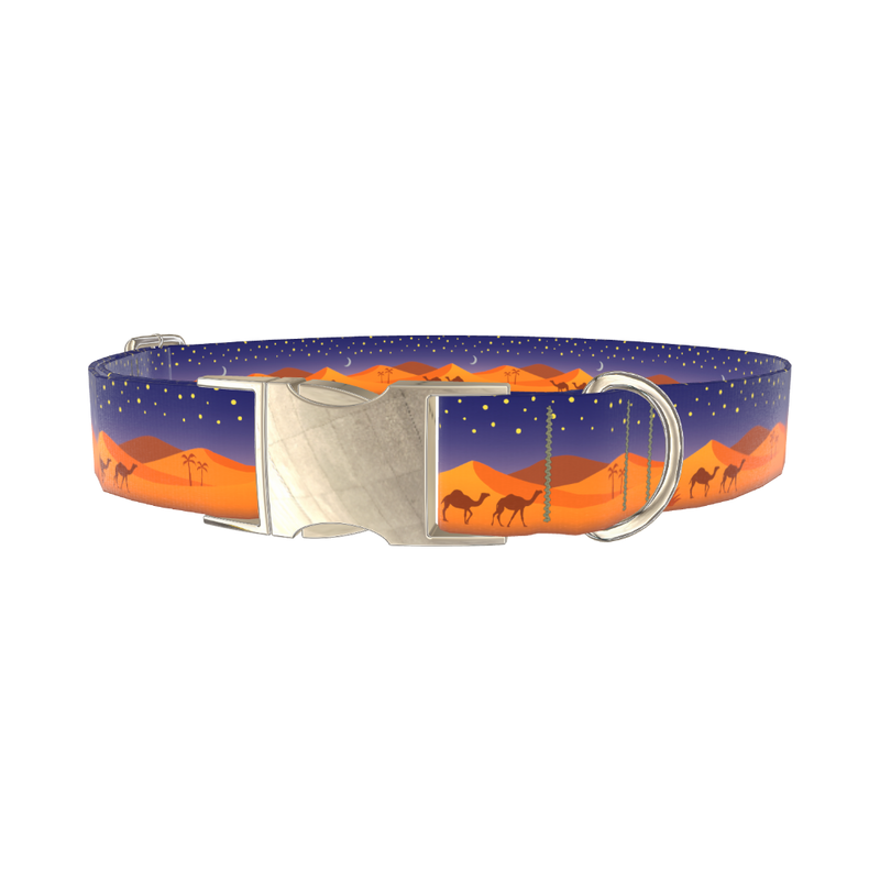 Desert Night Dog Collar - metal silver