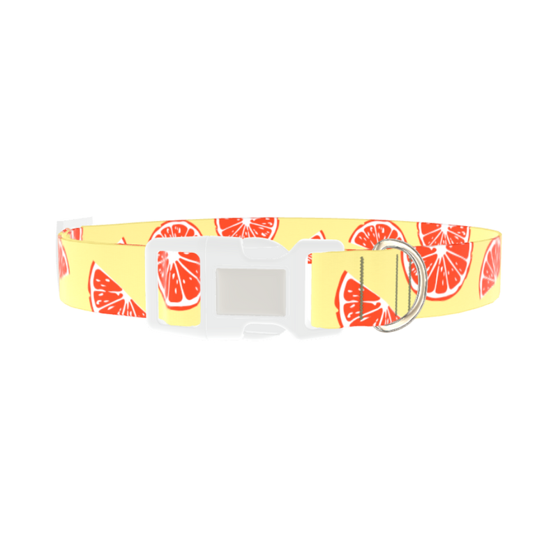 Citrus Fruit Dog Collar - plastic silver