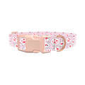 Romantic Speech Bubble Dog Collar - plastic gold