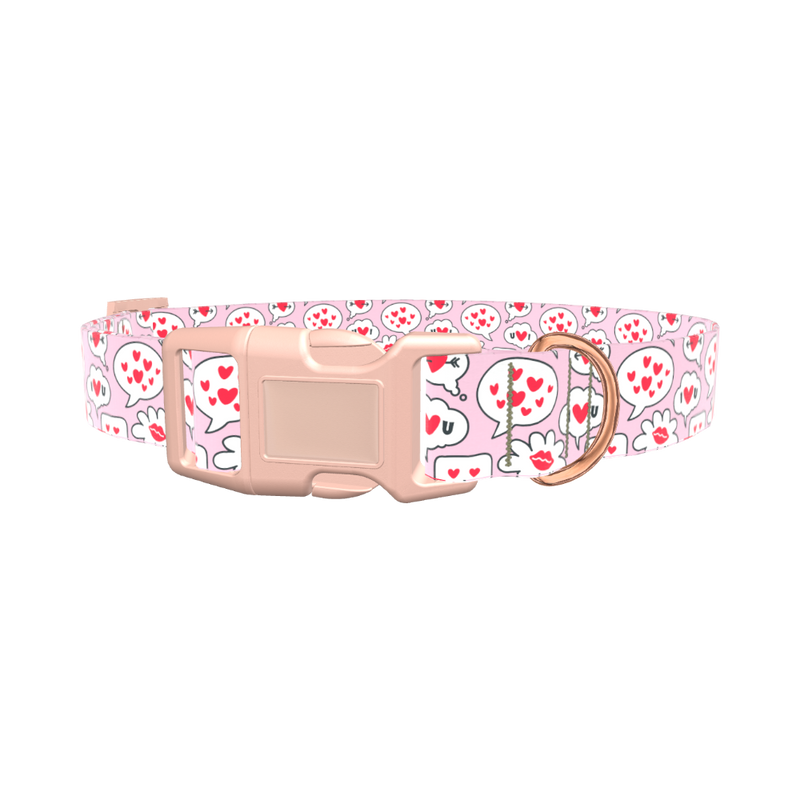 Romantic Speech Bubble Dog Collar - plastic gold