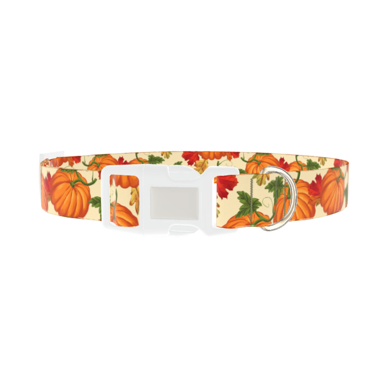 Autumn Pumpkin Dog Collar - plastic silver