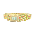 Floral Tulip Plaid Dog Collar - plastic gold