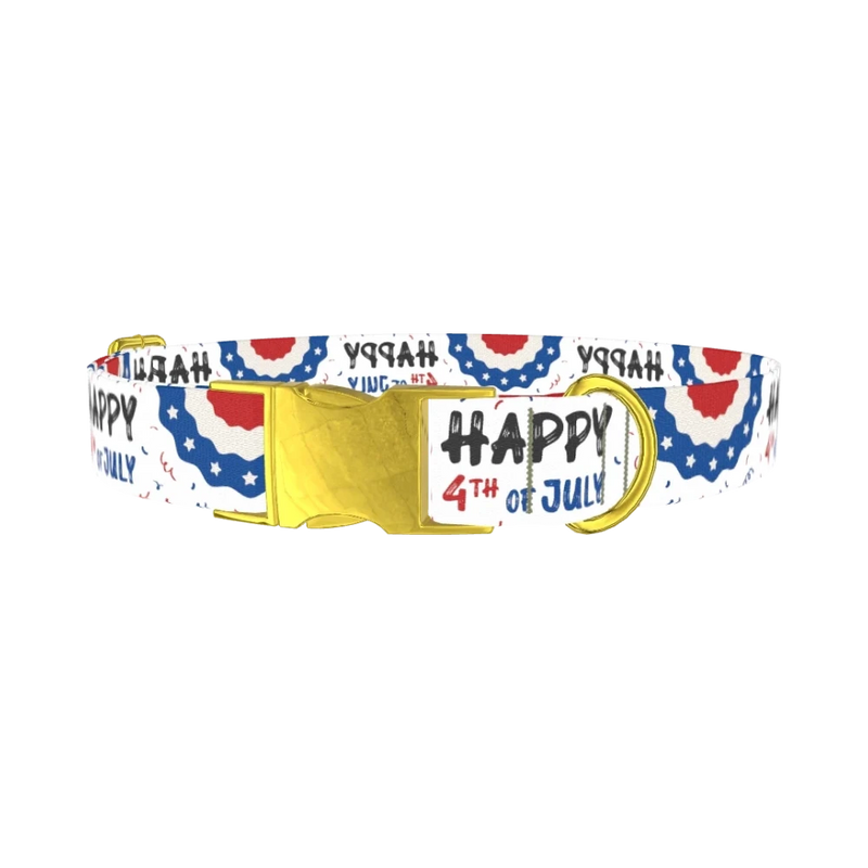 Patriotic 4th of July Dog Collar - metal gold