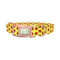 Ladybug Pattern Dog Collar - plastic rose gold