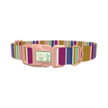 Purple Blue Green Stripes Dog Collar - plastic rose gold