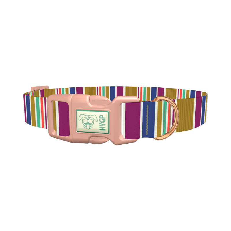 Purple Blue Green Stripes Dog Collar - plastic rose gold