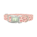 Pink Giraffe Print Dog Collar - plastic silver