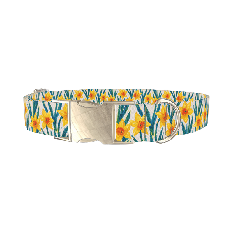 Yellow Daffodil Dog Collar - metal silver