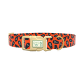 Orange Coffin Halloween Dog Collar - plastic silver