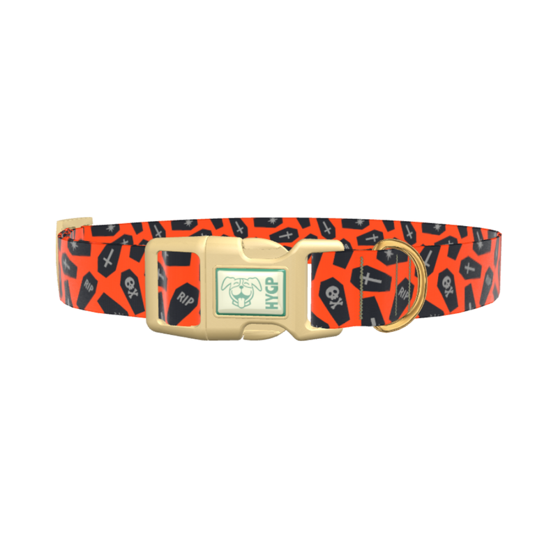 Orange Coffin Halloween Dog Collar - plastic silver