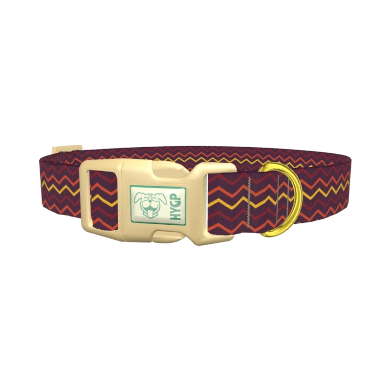 Multicolor Zigzag Dog Collar - plastic gold