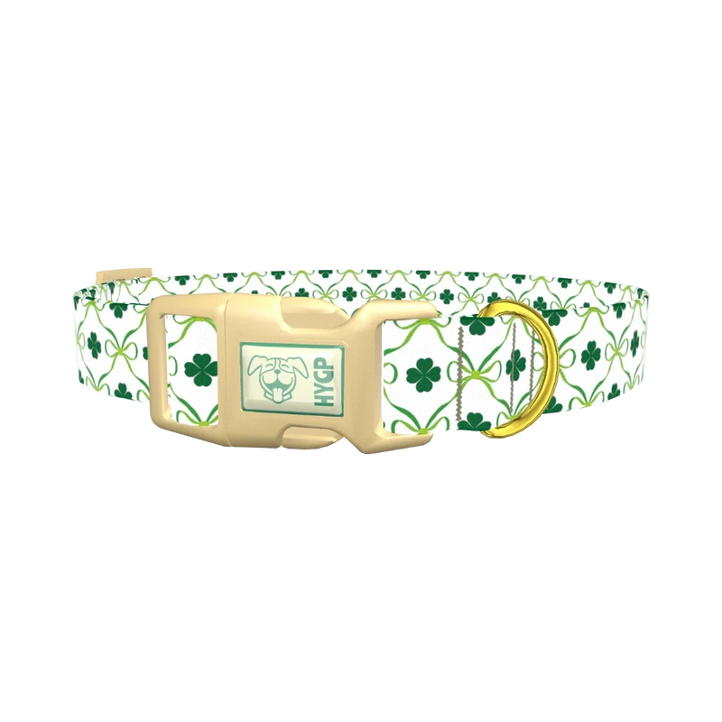 Shamrock Ribbon Dog Collar - plastic gold