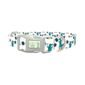 Dinosaur Powerlifting Dog Collar - plastic silver