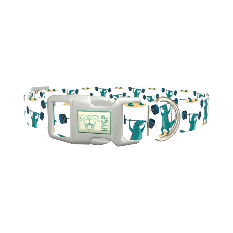 Dinosaur Powerlifting Dog Collar - plastic silver
