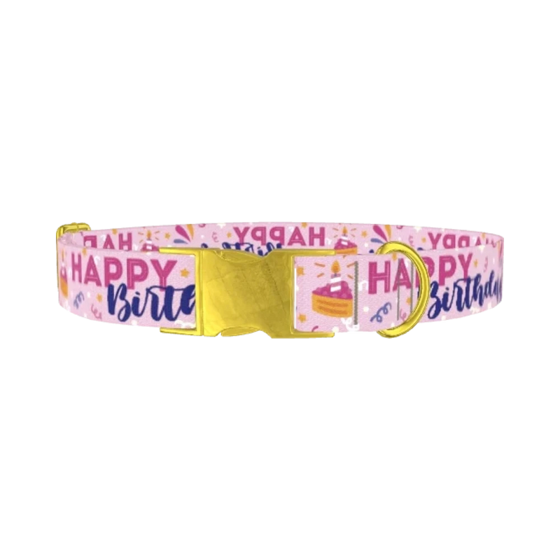 Birthday Cake Celebration Dog Collar - metal gold