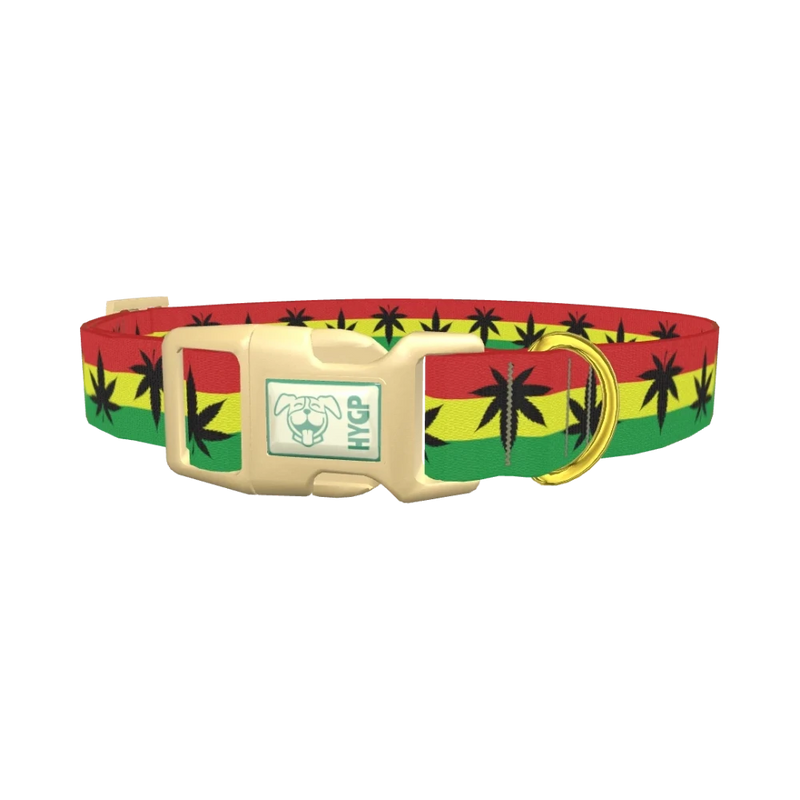 Rasta Leaf Dog Collar - plastic gold