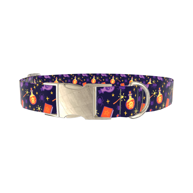Halloween Witch Potion Dog Collar - metal gold