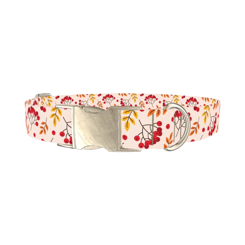 Autumn Rowanberry Dog Collar - metal silver