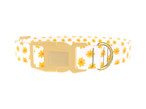 Yellow Daisy Dog Collar