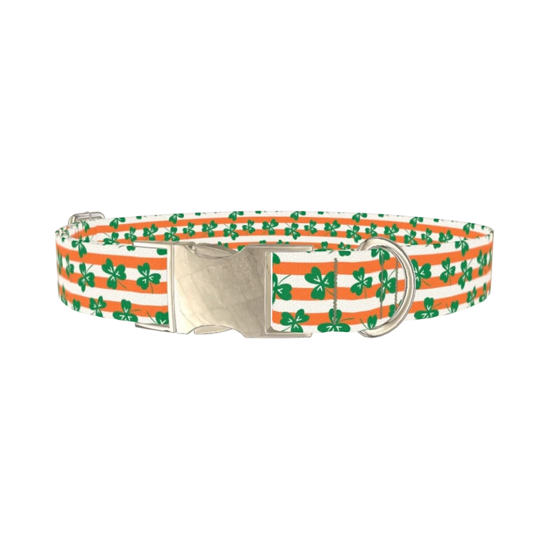 St. Patrick's Clover Stripe Dog Collar - metal silver