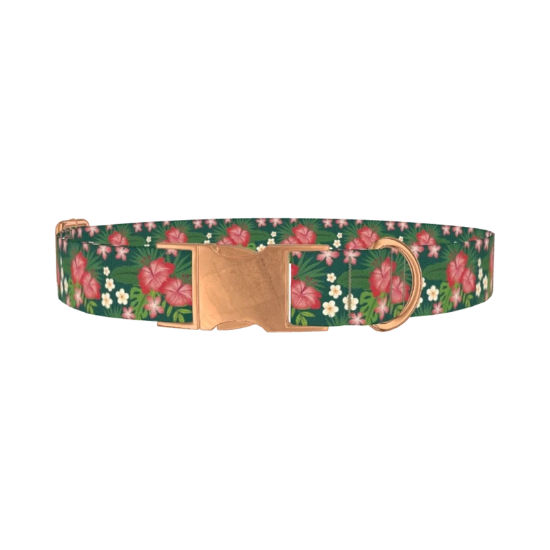 Tropical Floral Dog Collar - metal rose gold