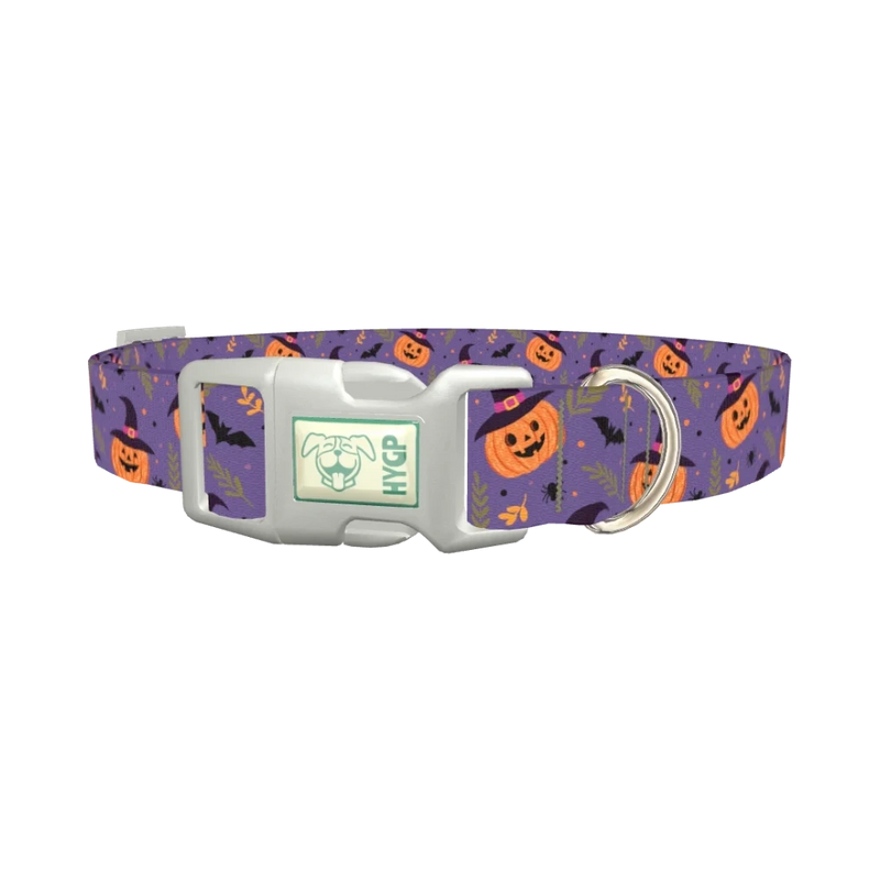 Halloween Witchy Pumpkin Dog Collar - plastic silver