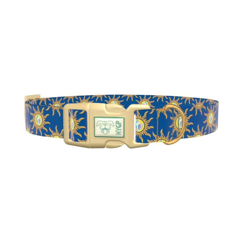 Conch Shell Sunburst Dog Collar - plastic silver