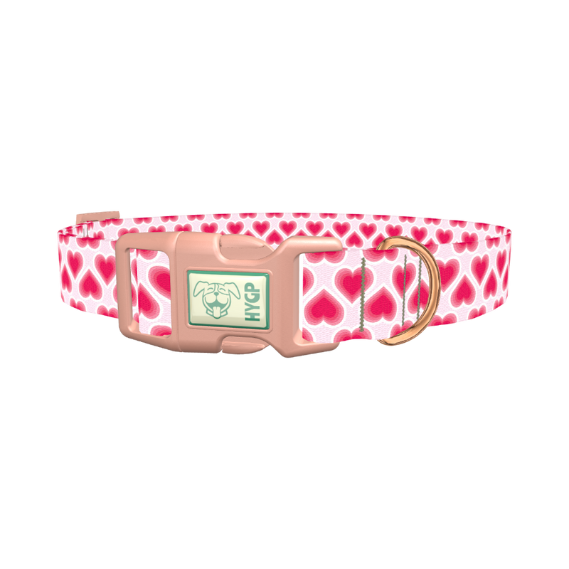 Pink Radiant Heart Dog Collar - plastic rose gold