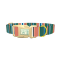 Green Orange Stripe Dog Collar - plastic gold