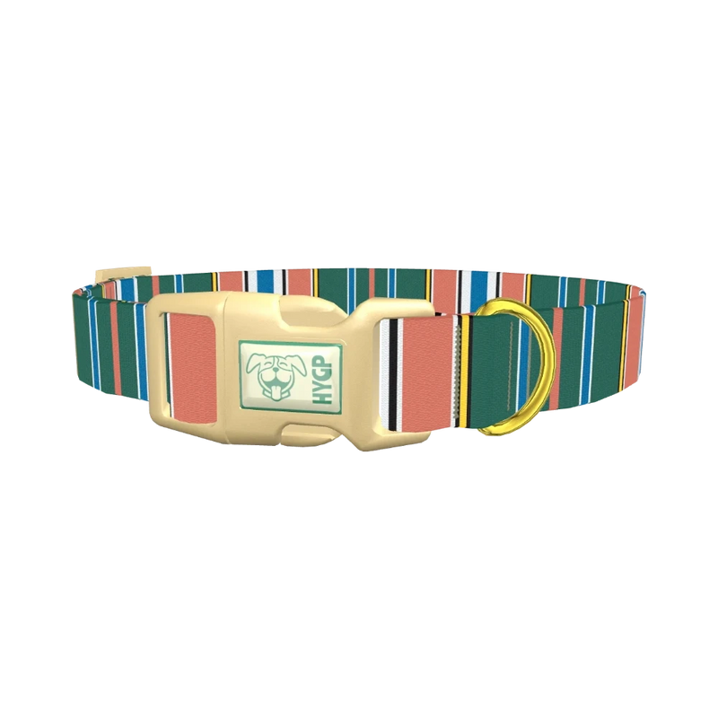 Green Orange Stripe Dog Collar - plastic gold