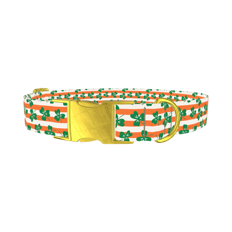 St. Patrick's Clover Stripe Dog Collar - metal gold