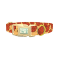 Basketball Sport Dog Collar - plastic gold