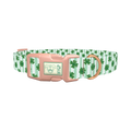 Clover Stripes Dog Collar - plastic rose gold