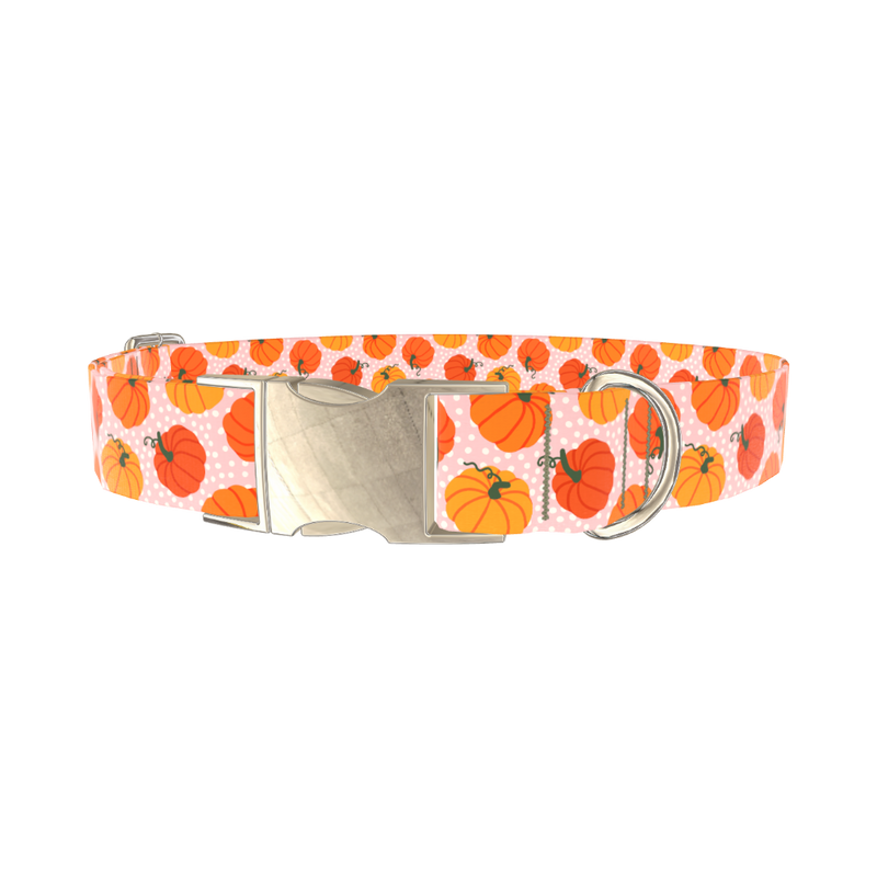Halloween Pumpkin Dot Dog Collar - metal gold