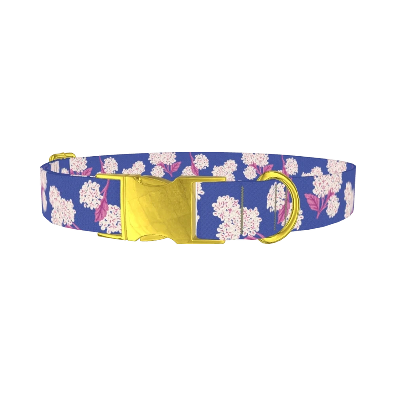 Blue Hydrangea Pattern Dog Collar - metal gold