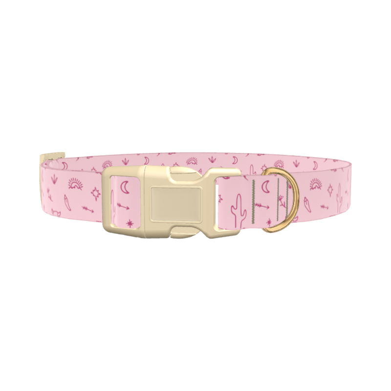 Desert Cactus Dog Collar - plastic rose gold