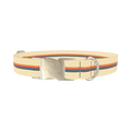Colorful Hexagon Stripe Dog Collar - metal silver