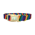 Geometric Rainbow Dog Collar - plastic gold