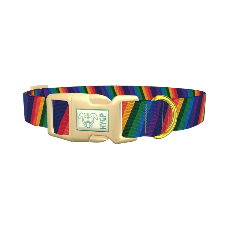 Geometric Rainbow Dog Collar - plastic gold