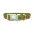 Chicken Farm Dog Collar - plastic silver