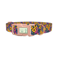 Floral Sunflower Dog Collar - plastic rose gold