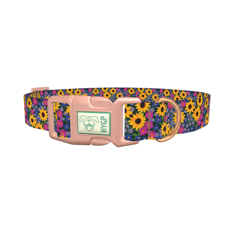 Floral Sunflower Dog Collar - plastic rose gold