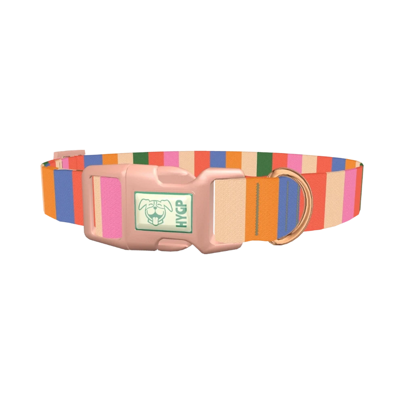 Colorful Stripe Pattern Dog Collar - plastic rose gold